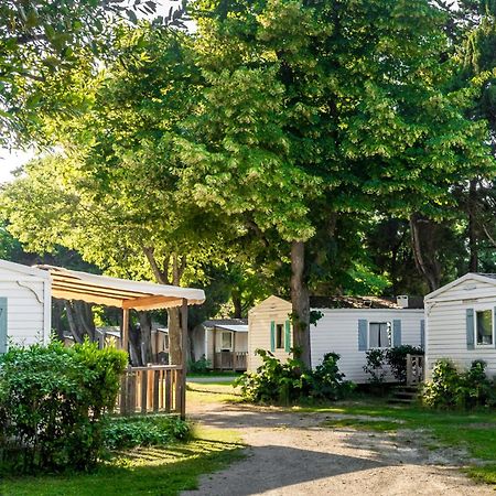 Camping Les Avignon - La Laune Villeneuve-les-Avignon Bagian luar foto