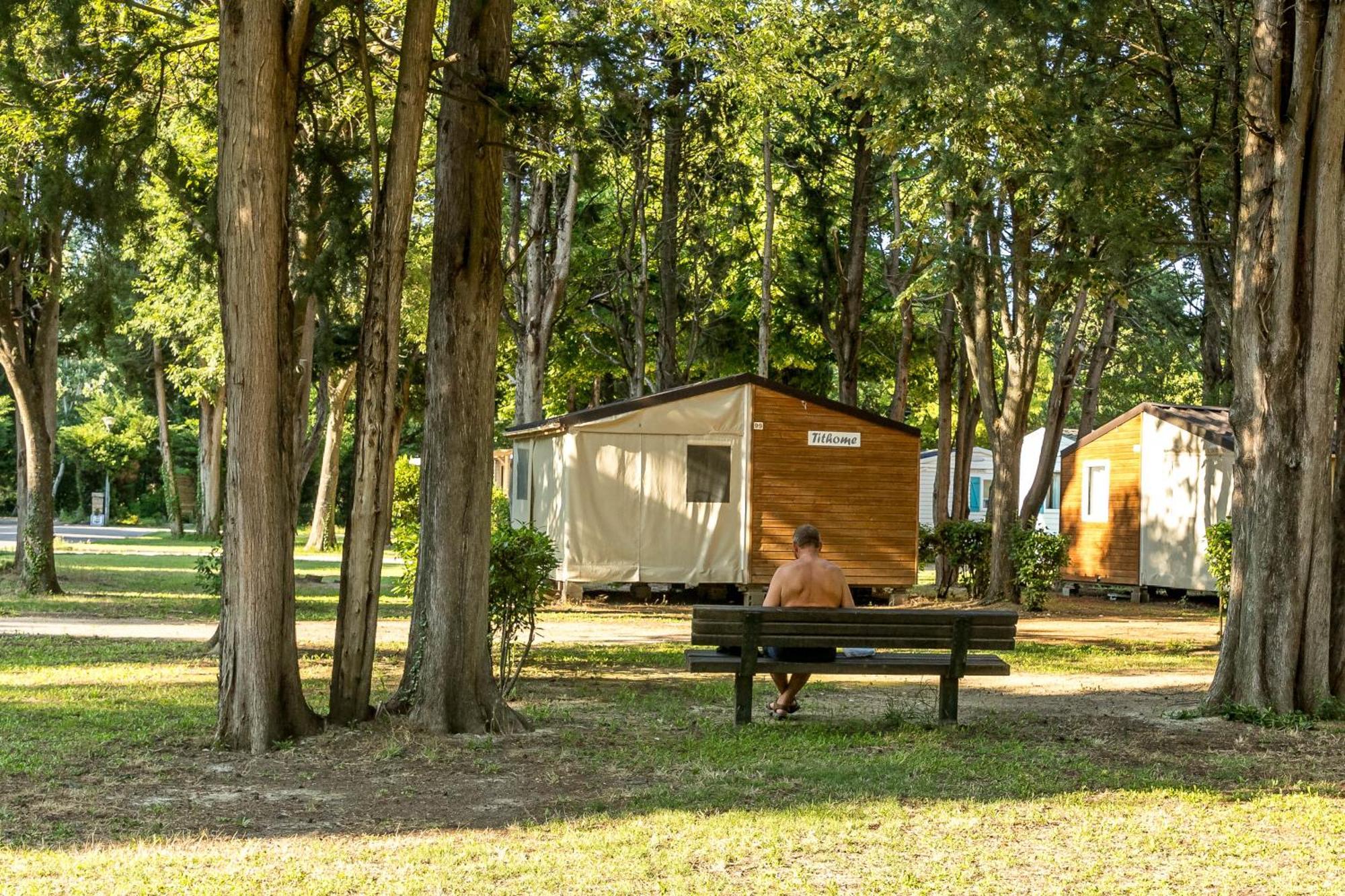 Camping Les Avignon - La Laune Villeneuve-les-Avignon Bagian luar foto